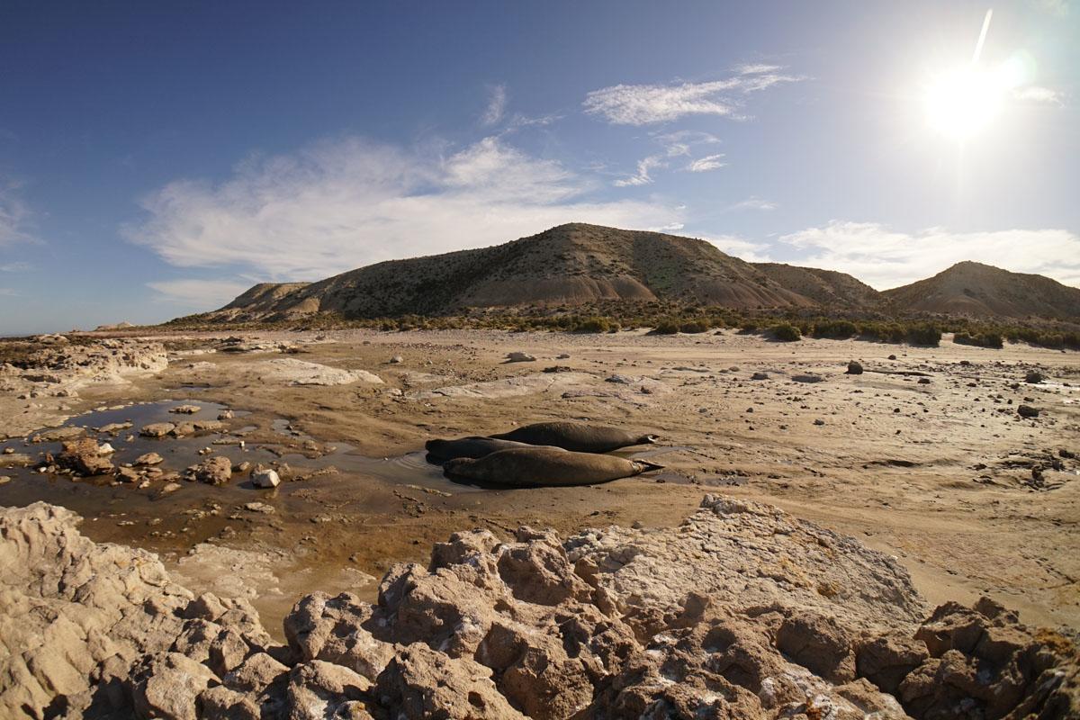 Dos Pozos La Antonieta Estancia De Mar المظهر الخارجي الصورة