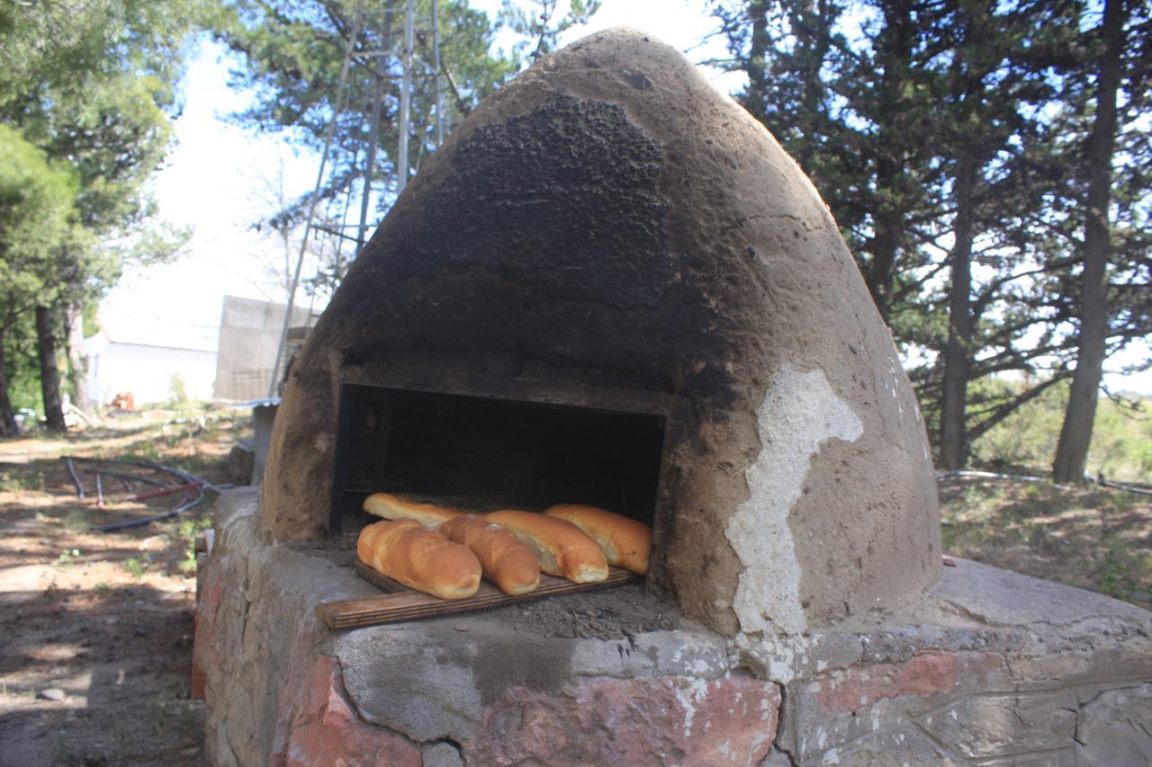 Dos Pozos La Antonieta Estancia De Mar المظهر الخارجي الصورة